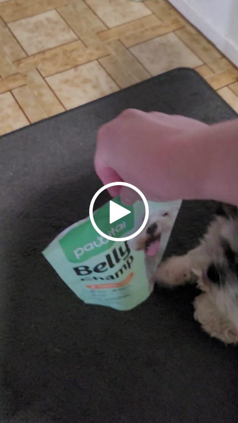 Customer video review of Belly Champ €14,90 (-50%)