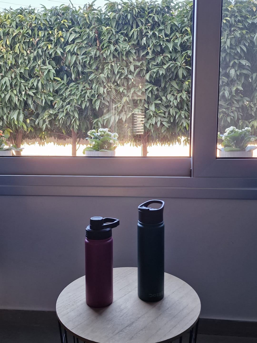 Customer photo review of DOZZE Voyager Water Bottle