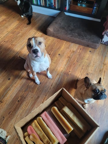 Customer photo review of 5lbs Assorted Yak Chews One Size Fits All - regular, strawberry, coconut, flax seeds, honey and turmeric chews