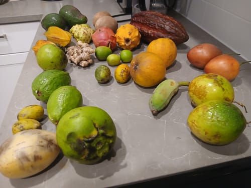 Customer photo review of Tropical Variety Box