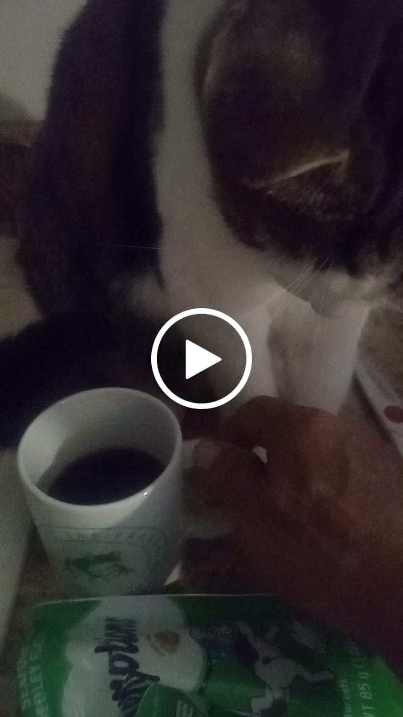 Customer video review of Save The Frogs Coffee Mug