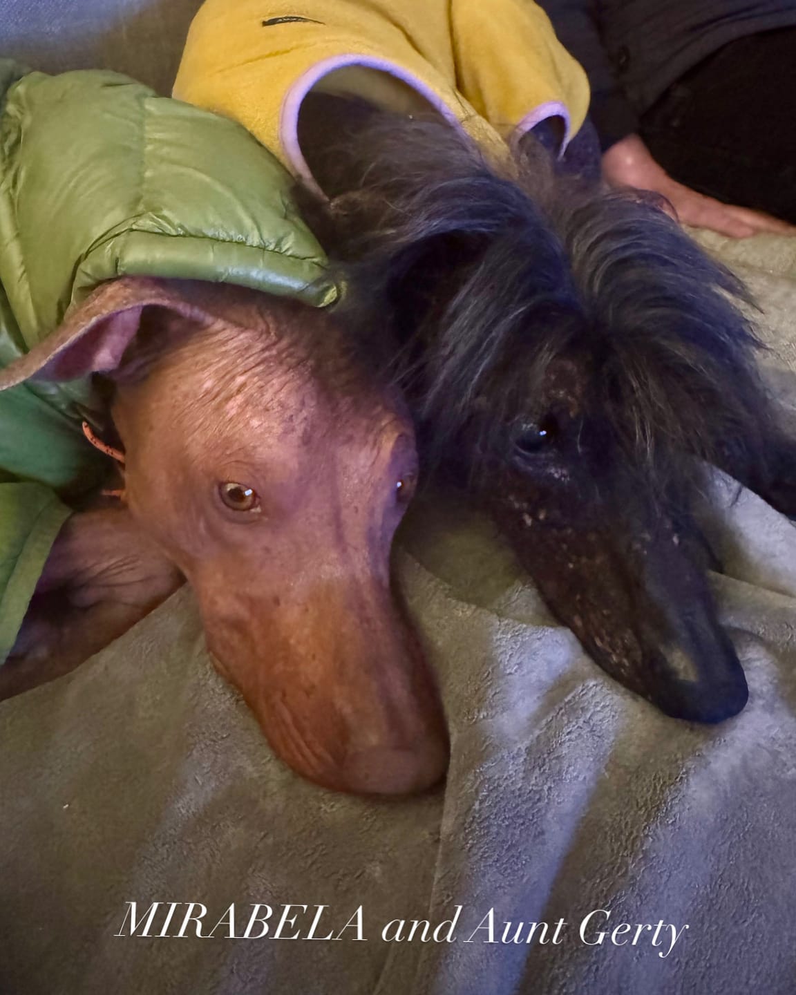 Customer photo review of NEW Fleece Pull-Over