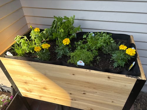 Customer photo review of 18" x 36" Raised Garden Bed