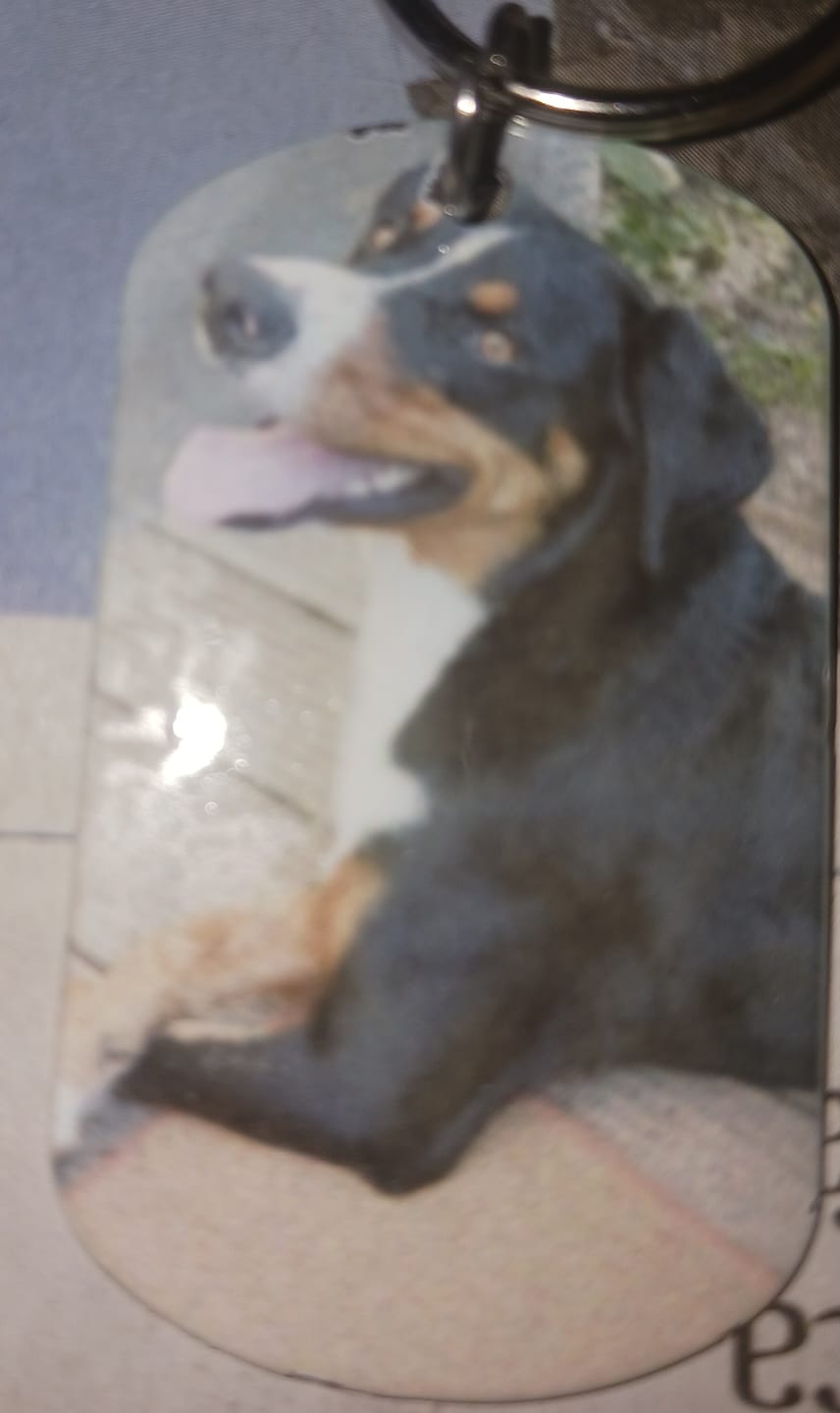 Customer photo review of Mein Zuhause - Individueller Dog Tag Schlüsselanhänger