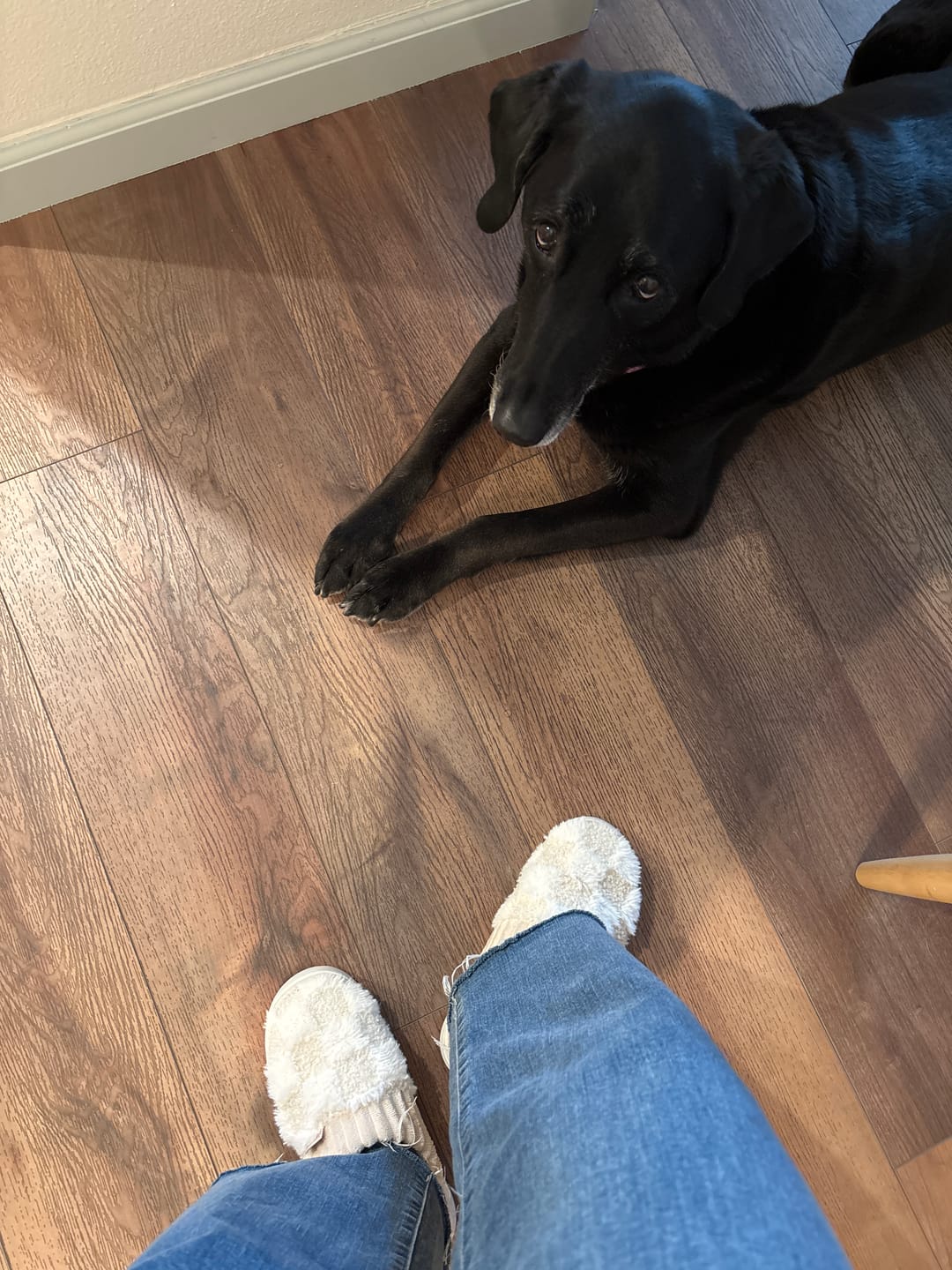 Customer photo review of Nordic Fluffy Slippers