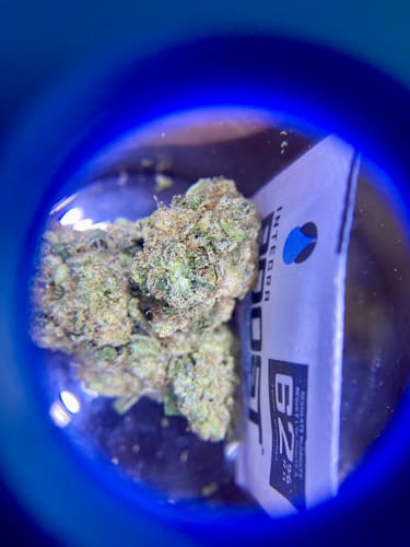 Customer photo review of Biscotti