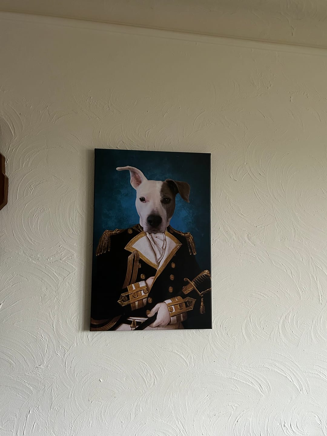 Customer photo review of Portrait Chien Explorateur