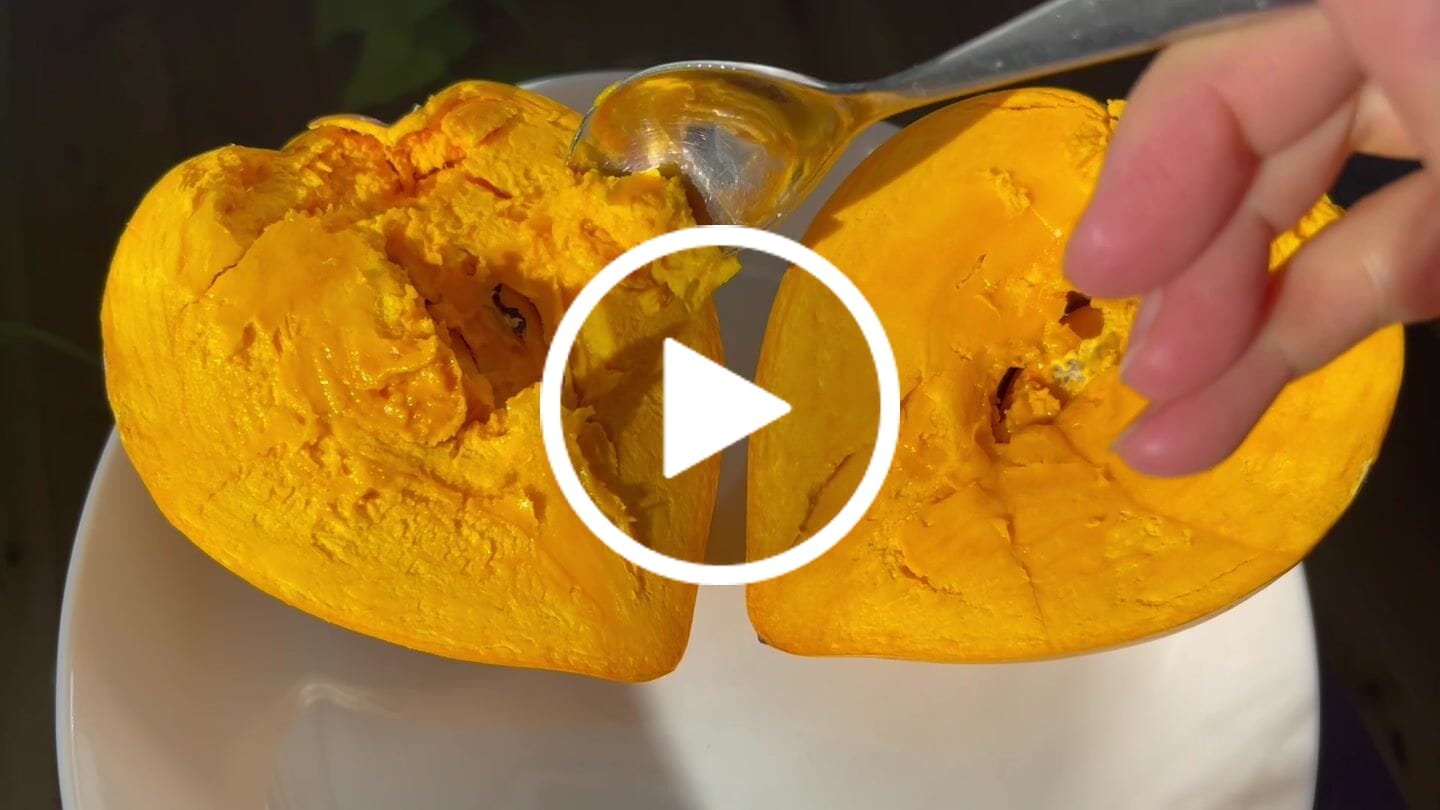 Customer video review of Eggfruit (Canistel)