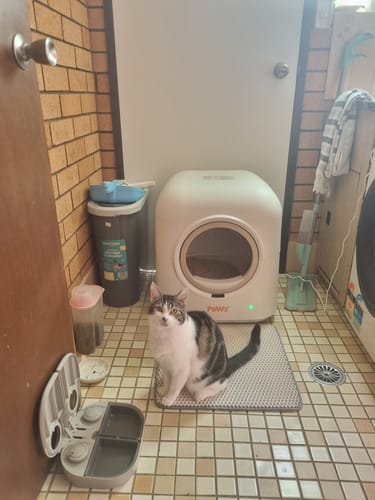 Customer photo review of Pawz Smart Cat Litter Box Automatic Self Cleaning with App Remote Control