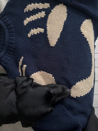 Customer photo review of Feel Good Hand Knit Jumpers