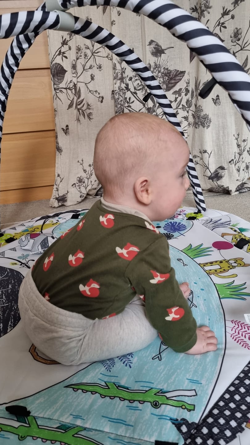 Customer photo review of Little Fox Organic Baby Bodysuit Set - 2 Pack