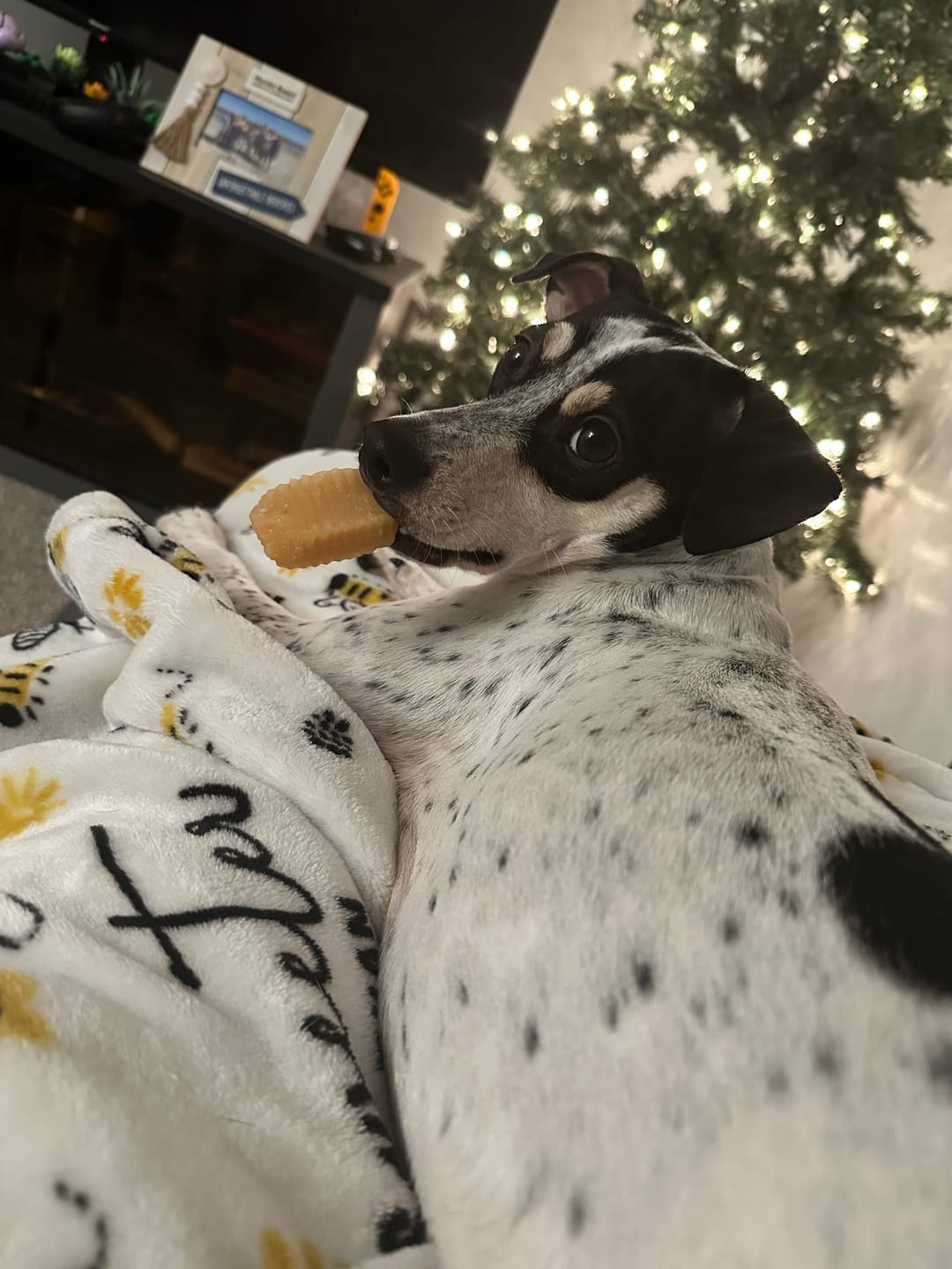 Customer photo review of Himalayan Yak Chew (MEGA)