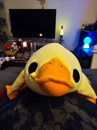 Customer photo review of Weighted HugaLump Animal Plush