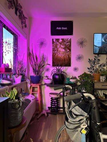 Customer photo review of Ask God