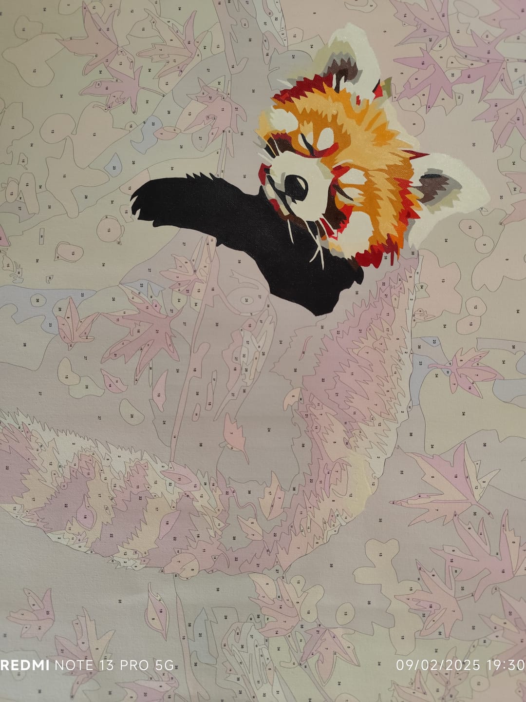 Customer photo review of Relaxed Red Panda