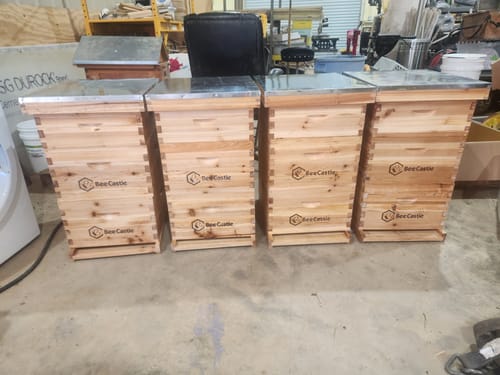 Customer photo review of BeeCastle Hives 10 Frame Wax Coat Complete Beehive Kit:2 Designed Deep Bee Boxes and 1 Super Medium Box,Includes Premium Wooden Frames and Beeswax-Plastic Foundation