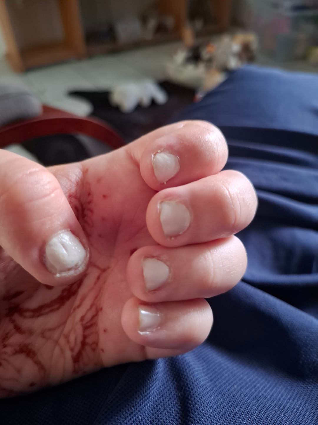 Customer photo review of NEW Mini Manicure Kit With Pouch (4 pc set)