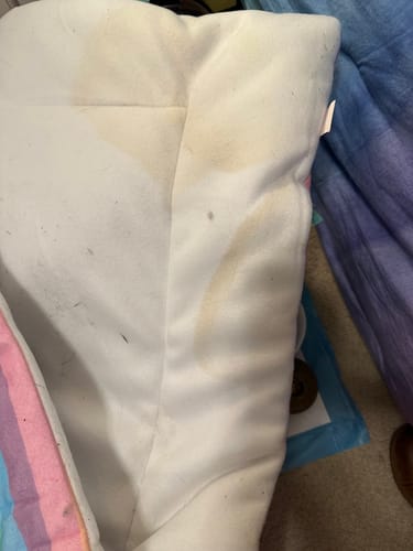 Customer photo review of Set of 2 Fleece Liners | Radiant Rainbow