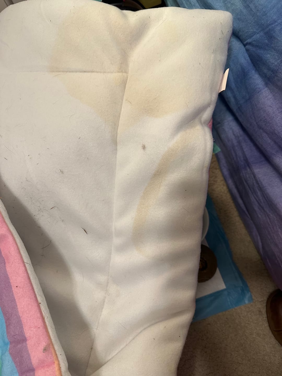 Customer photo review of Set of 2 Fleece Liners | Radiant Rainbow