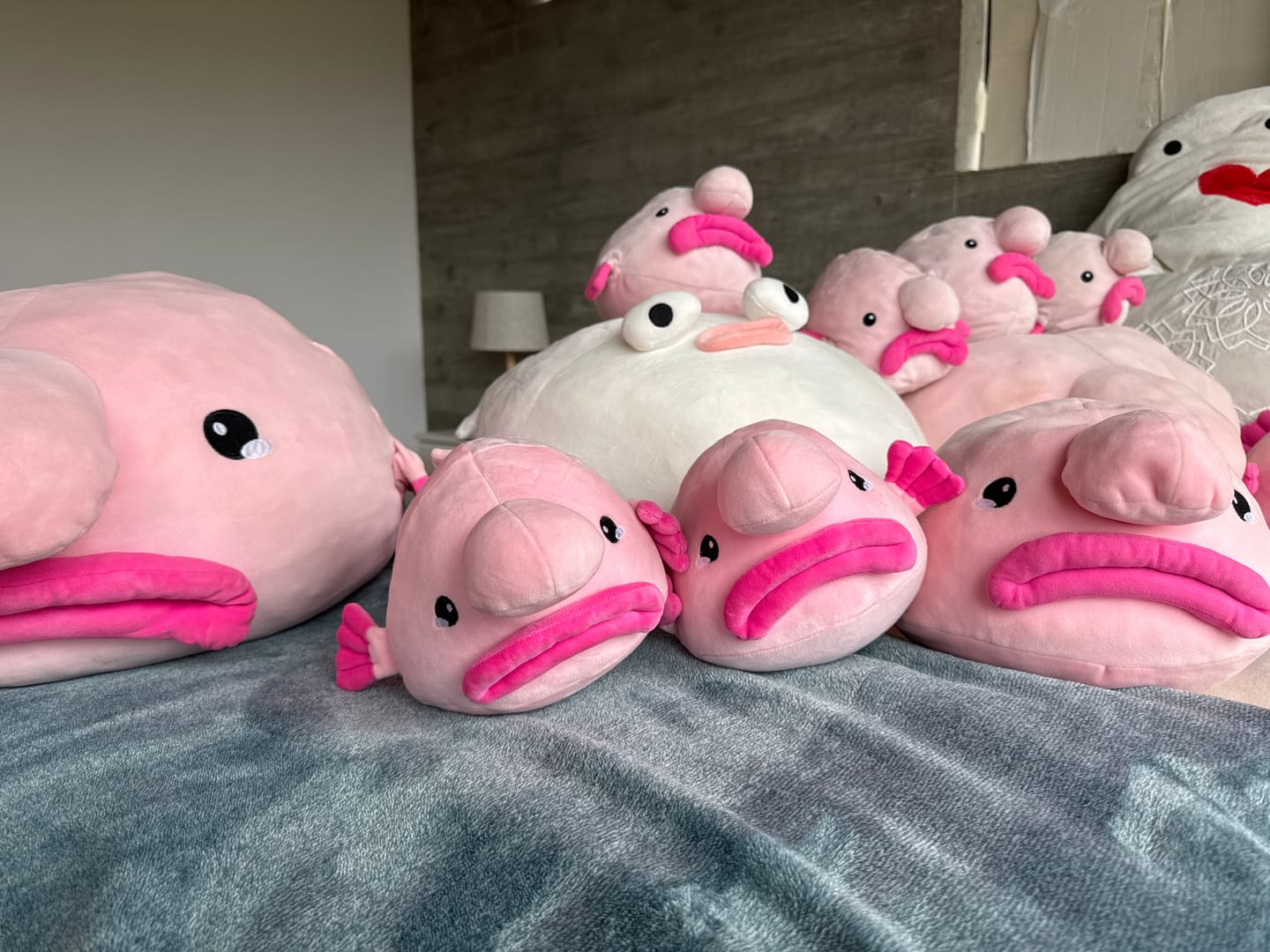 Customer photo review of Blobfish Plushie XL