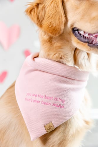 Customer photo review of Custom Saying Embroidered Bandana