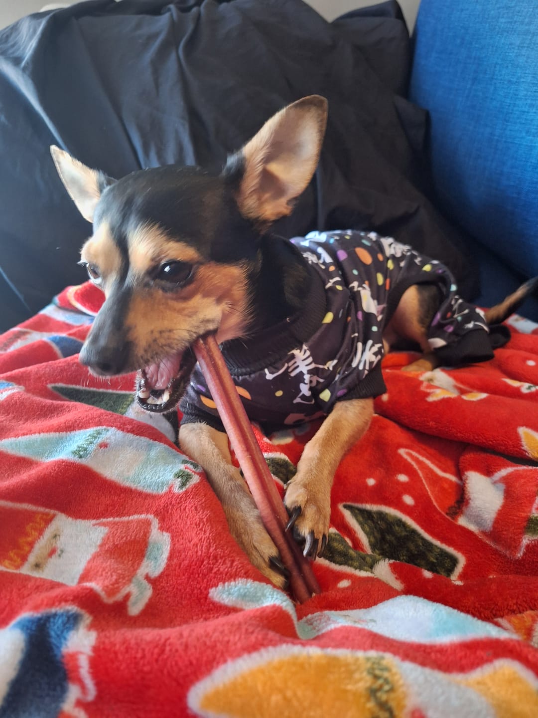 Customer photo review of 6 Inch Beef Jerky Stick