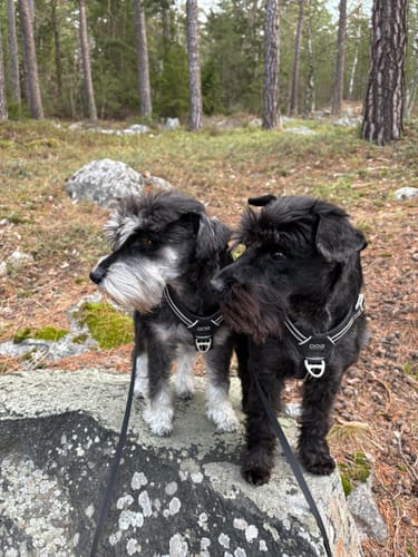 Customer photo review of CalmBed - Motverkar stress & hjälper mot ångest