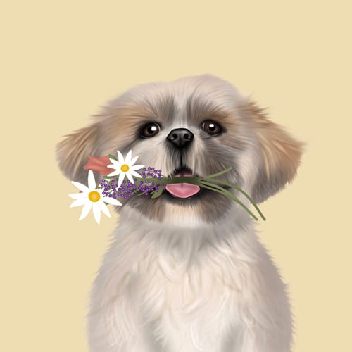 Customer photo review of Shih Tzu Digital Download