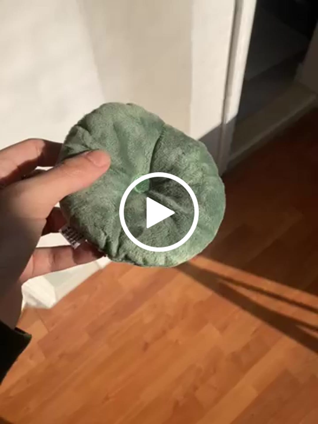 Customer video review of Henry The Frog Sitting On Lily Pad