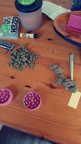 Customer photo review of 🎁 FREE GIFT | Og Sour - CBD Blüte (100% off)