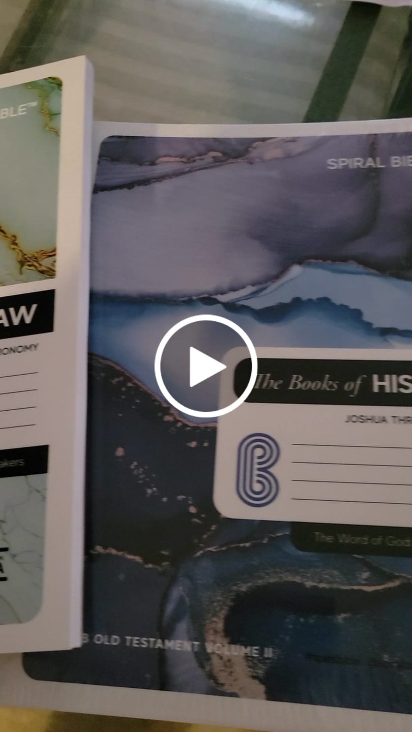 Customer video review of Anchored In His Word: A 90 Day Devotional