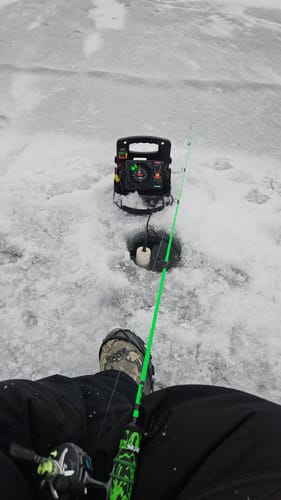 Customer photo review of Pre-Built Power Noodle