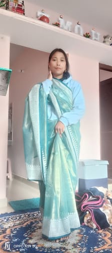 Customer photo review of Green Swarovski Work Embroidered Net Saree