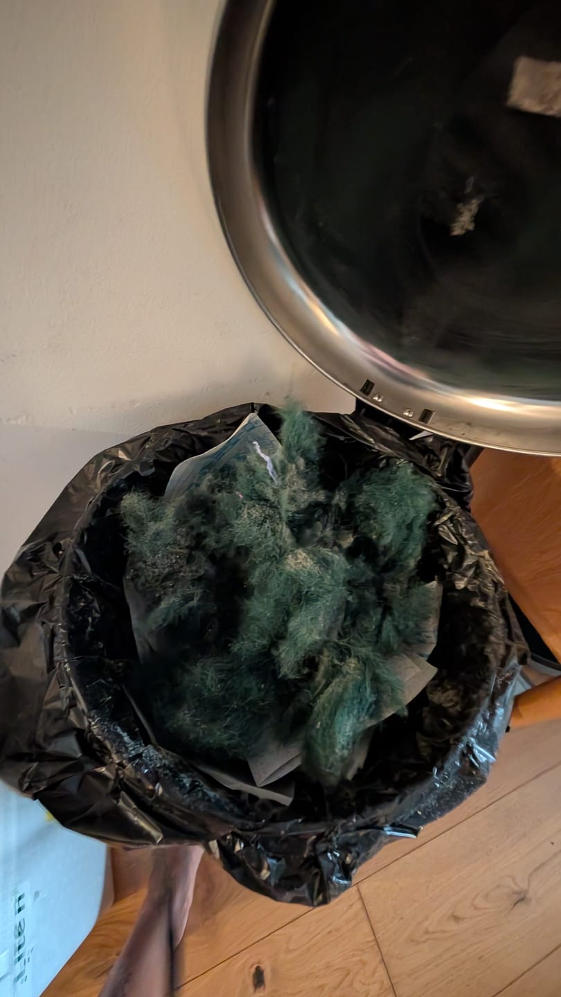 Customer photo review of Jewel Weave Jade Rug