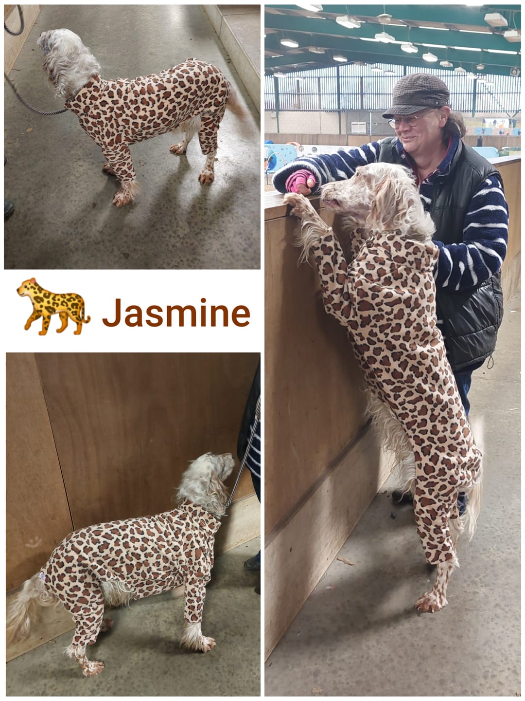 Customer photo review of Brown Leopard Anti Pill Polar Fleece Fabric