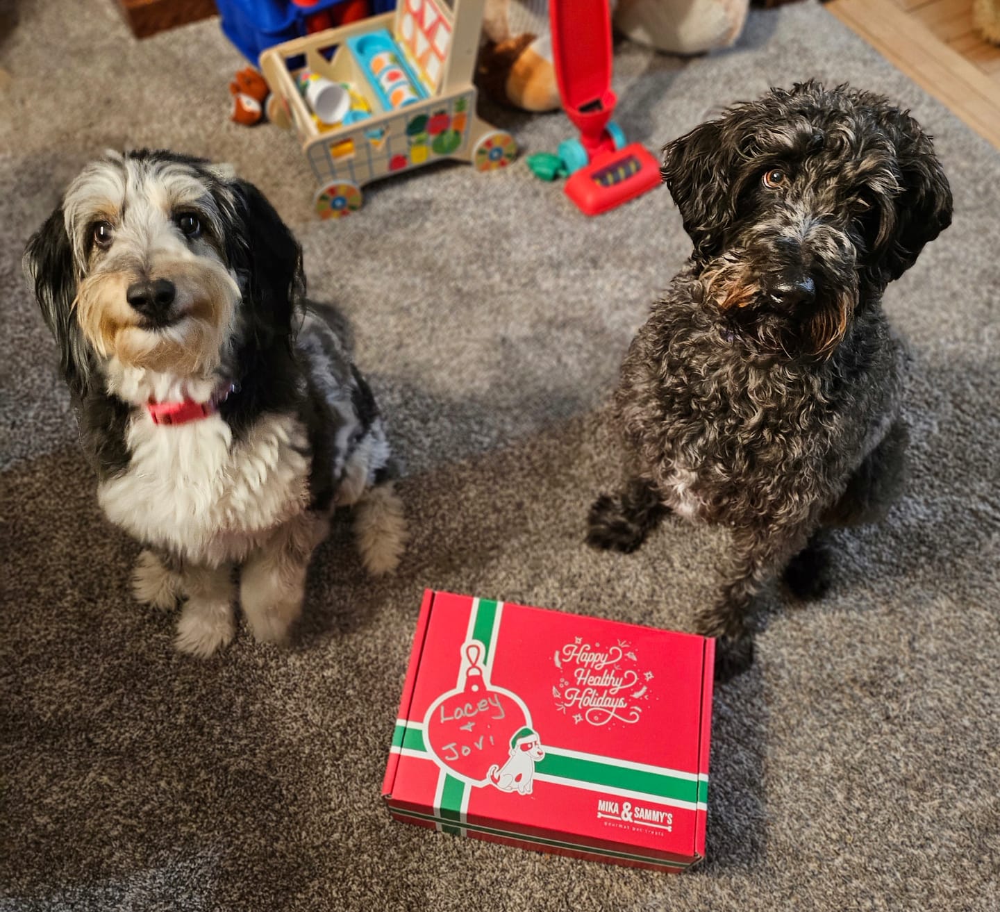 Customer photo review of Beef Lung Chunks 1lb