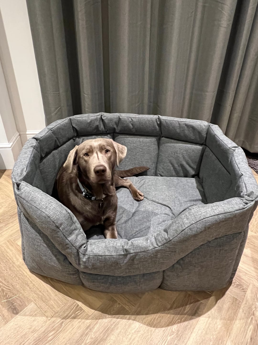 Customer photo review of Country Dog Heavy Duty Rectangular Dog Bed