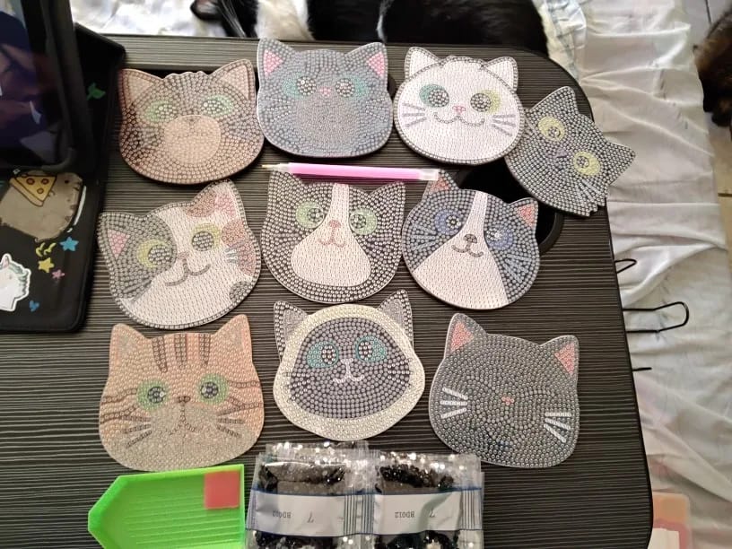 Customer photo review of Whisker Wonders Diamond Painting Coaster Set (10-Piece with Holder)