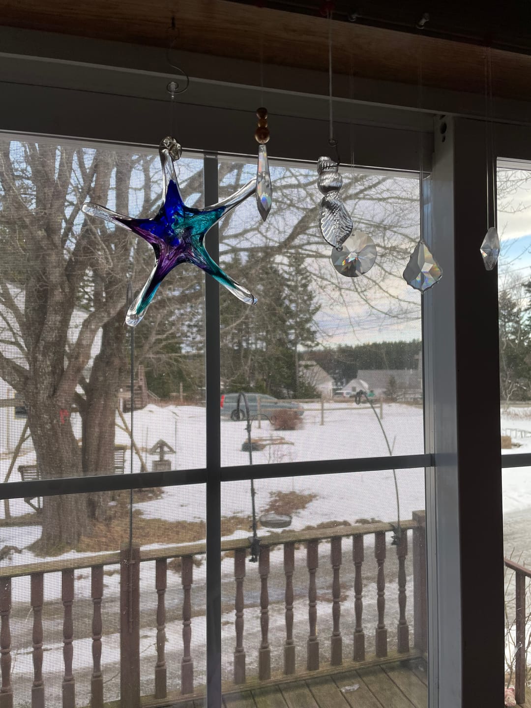 Customer photo review of Dichroic Starfish Suncatcher with Infused Cremains