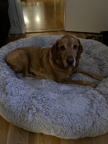 Customer photo review of CalmBed - Motverkar stress & hjälper mot ångest