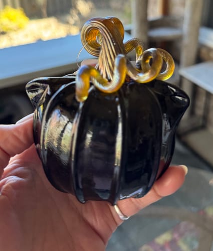 Customer photo review of Mini Black Cat-kin Pumpkin - Outlet