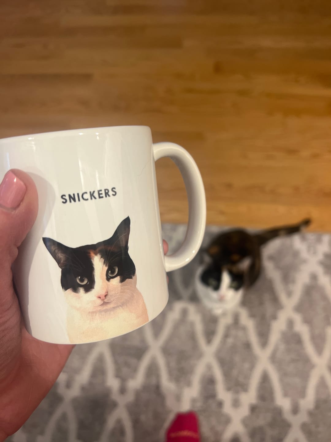 Customer photo review of Custom Pet Portrait Mug