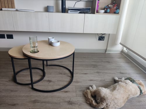 Customer photo review of Mesa de centro circular nido MIMA Negro