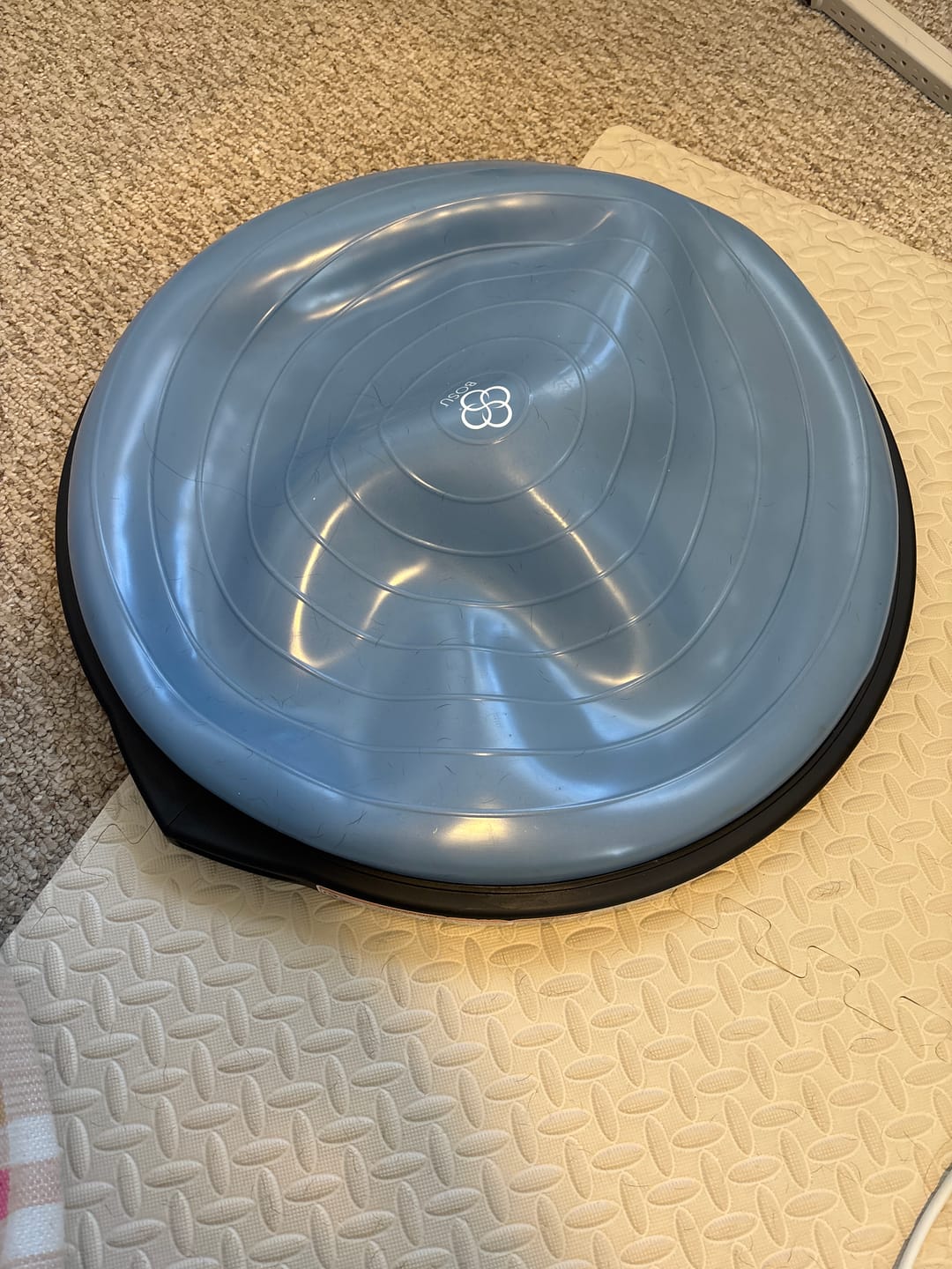Customer photo review of BOSU® Home Balance Trainer