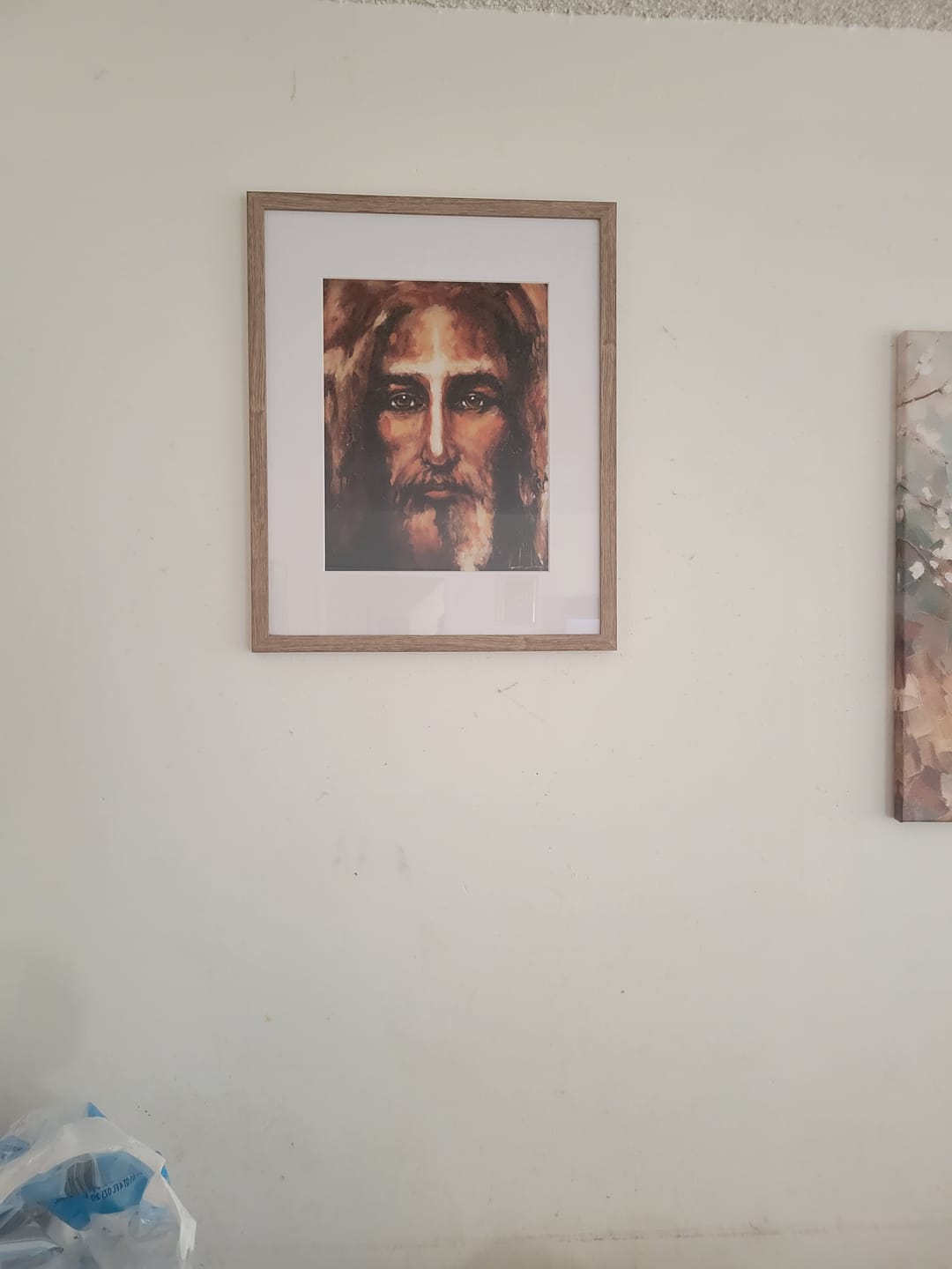 Customer photo review of The Shroud of Turin - In His Glory