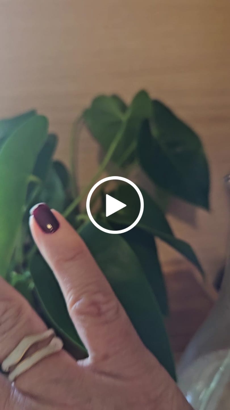 Customer video review of Anel Abstrato Madrepérola Ajustável Banho em Ouro 18k