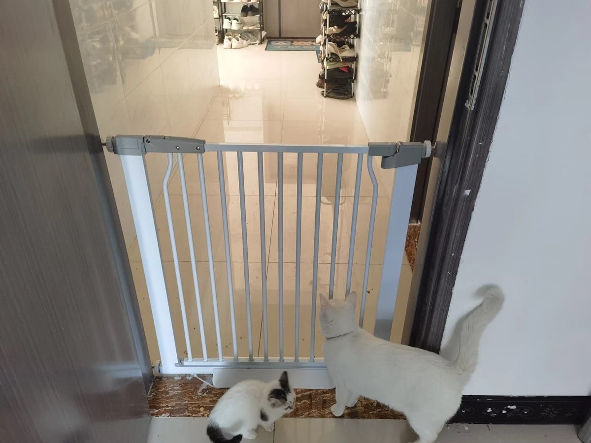 Customer photo review of FairyBaby 40.55" Extra Tall Heavy Duty Safety Gate For Front Door