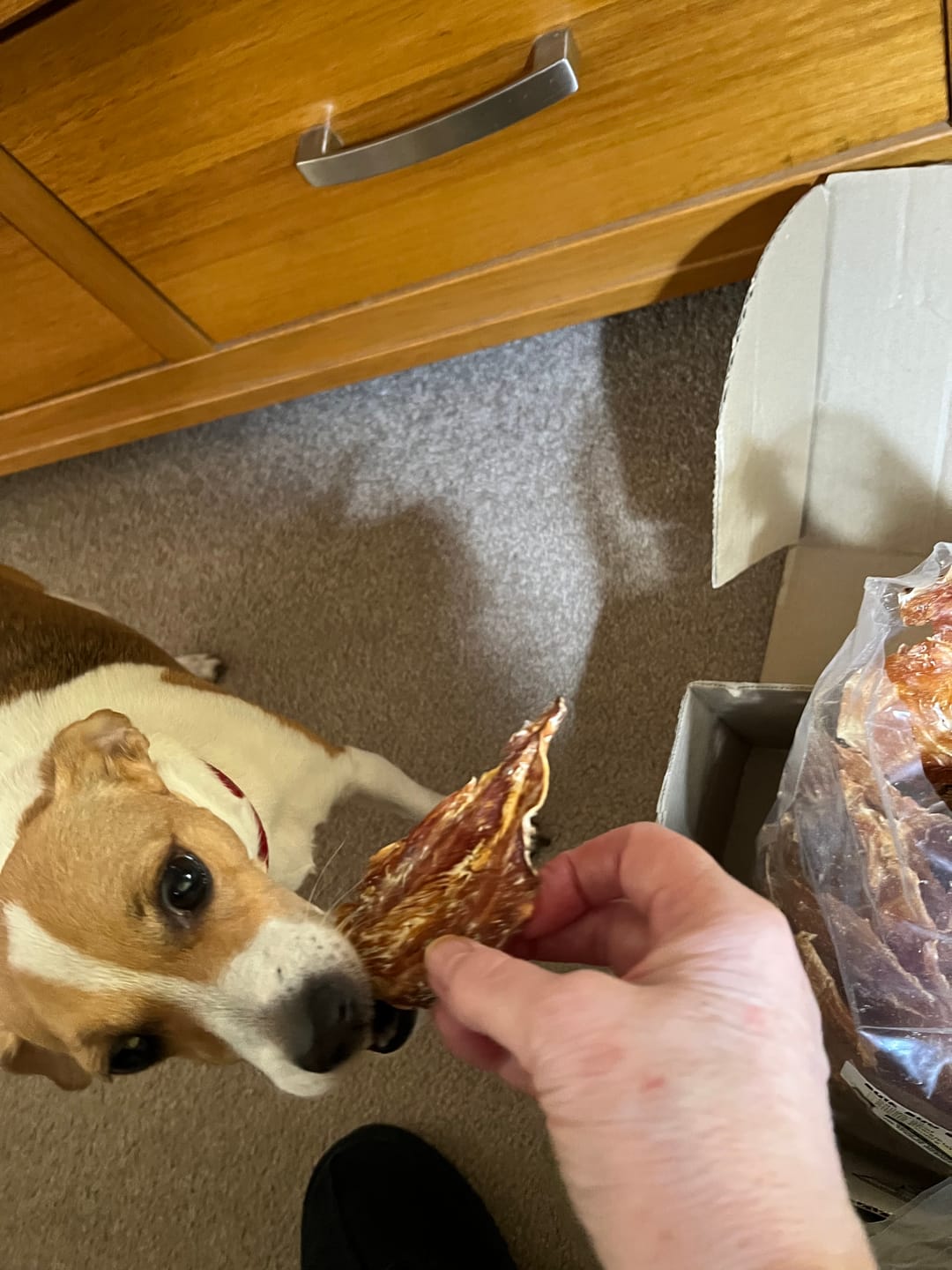 Customer photo review of Premium Chicken Chews