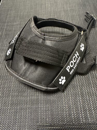 Customer photo review of FunFunPet 高機能ハーネス（お名前タグ作成サービス付き）