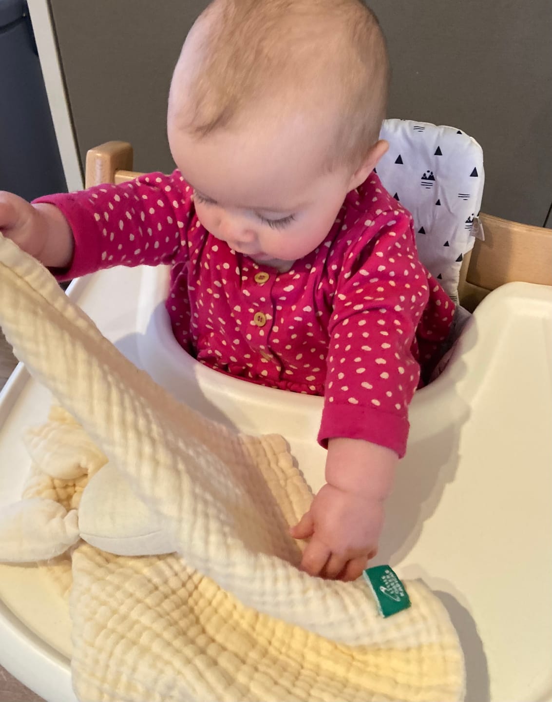 Customer photo review of Rabbit Organic Baby Comforter